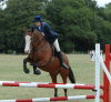 West Hants Pony Club - Shirley Farm, Bransgore